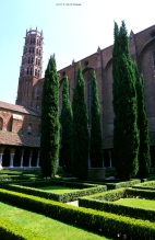 Jacobins - Click on it to magnify (557 Ko)